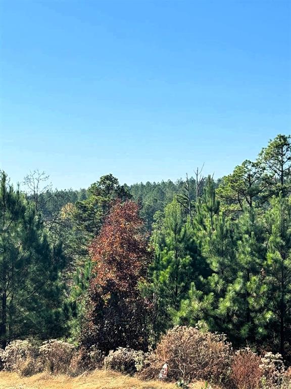 136 Charmed Ridge Lane
