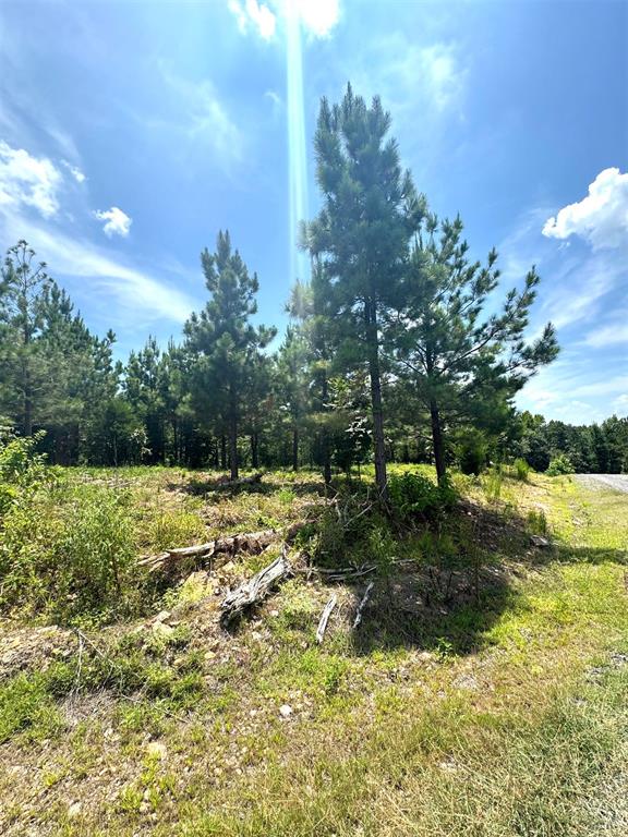 136 Charmed Ridge Lane