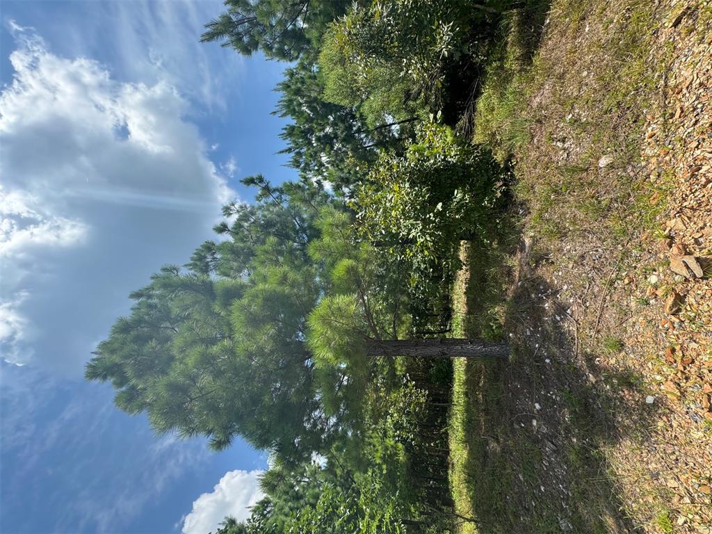 20 Charmed Ridge Lane