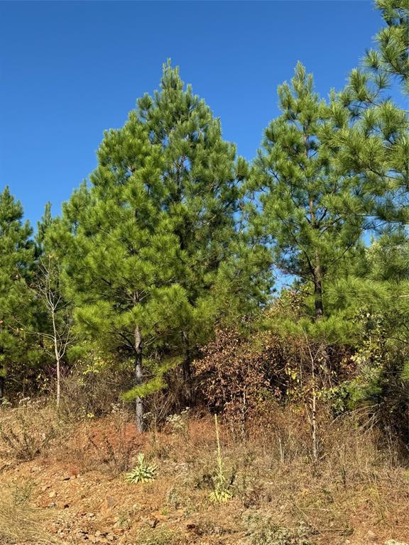 20 Charmed Ridge Lane