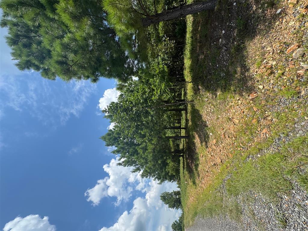 20 Charmed Ridge Lane