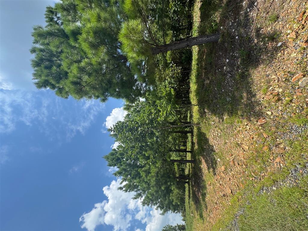 20 Charmed Ridge Lane