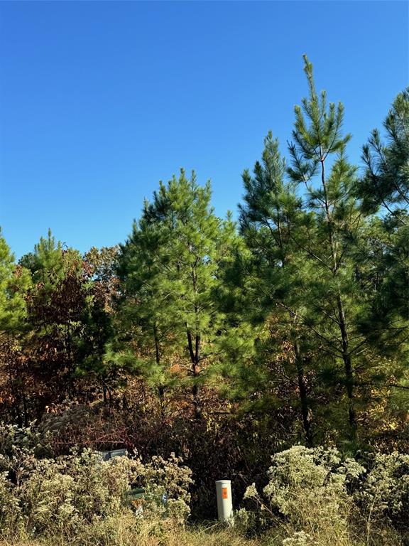 20 Charmed Ridge Lane