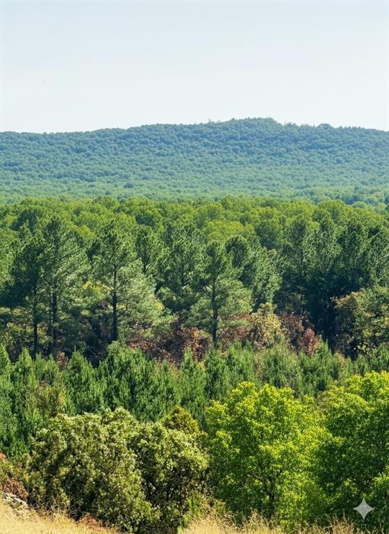 20 Charmed Ridge Lane