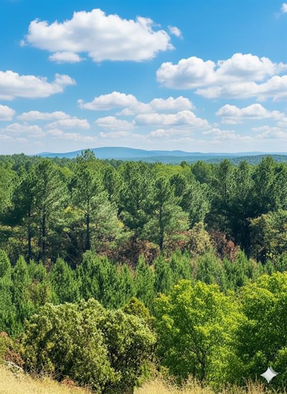 20 Charmed Ridge Lane