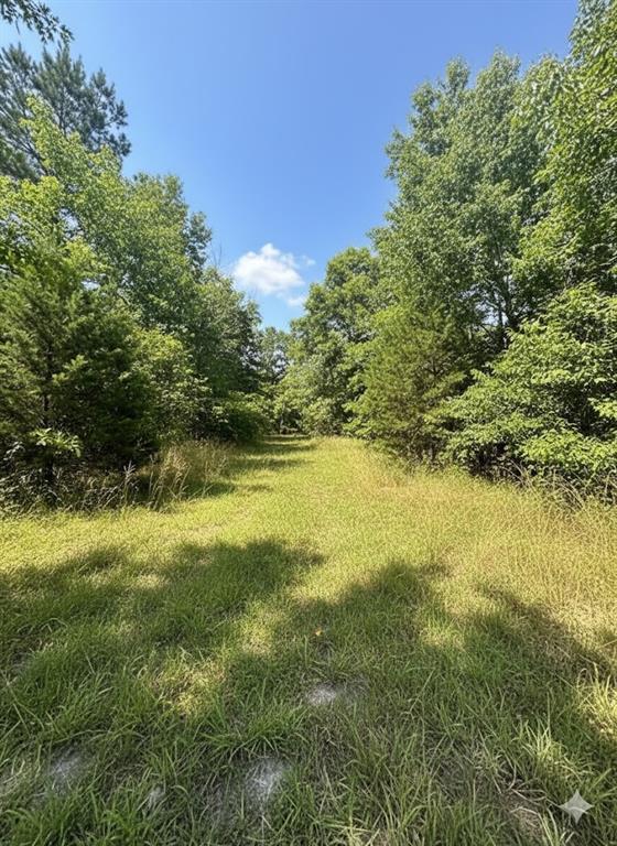 798 S Bypass Road