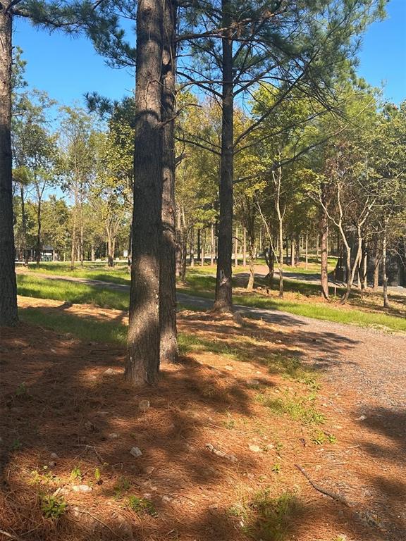 882 Lukfata Fork Trail