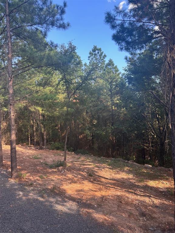 882 Lukfata Fork Trail