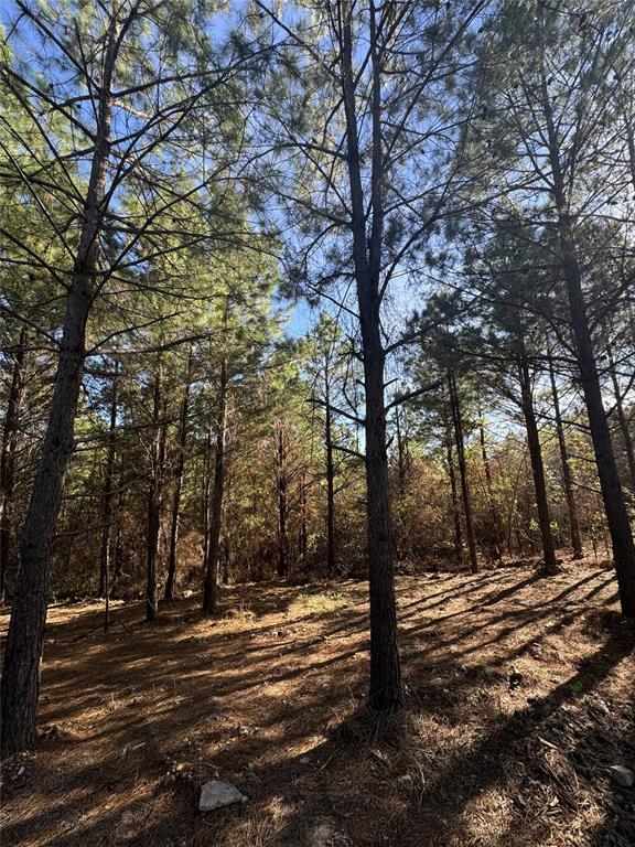 882 Lukfata Fork Trail