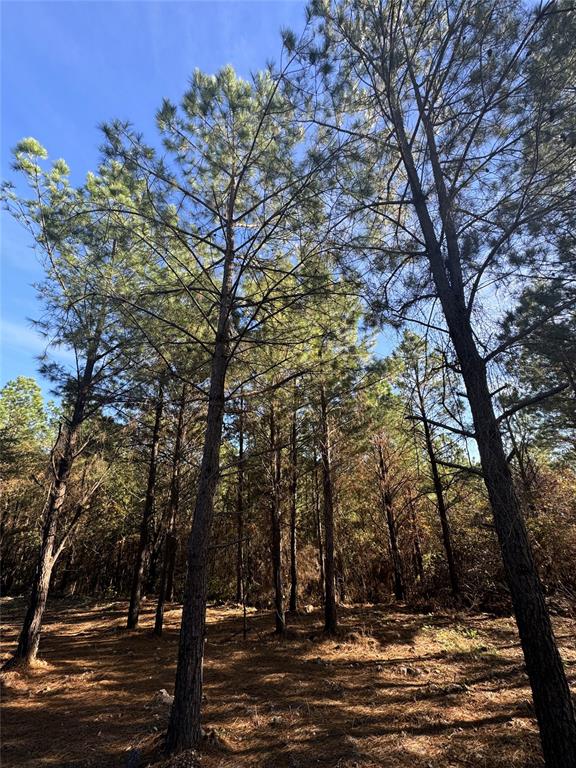 882 Lukfata Fork Trail