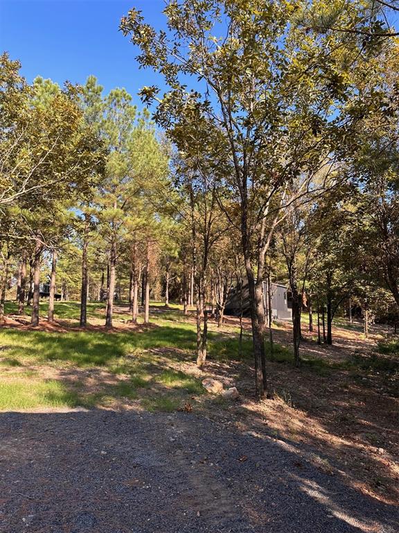 868 Lukfata Fork Trail