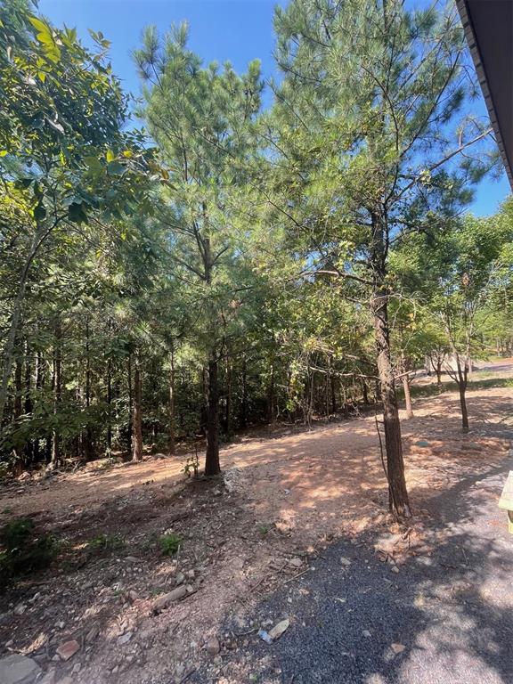 868 Lukfata Fork Trail