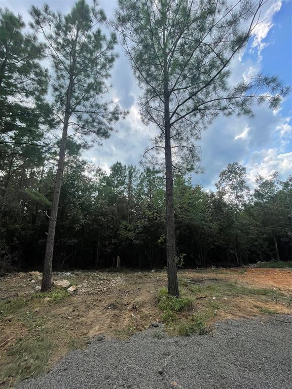 850 Lukfata Fork Trail