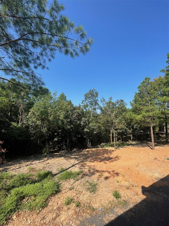 850 Lukfata Fork Trail