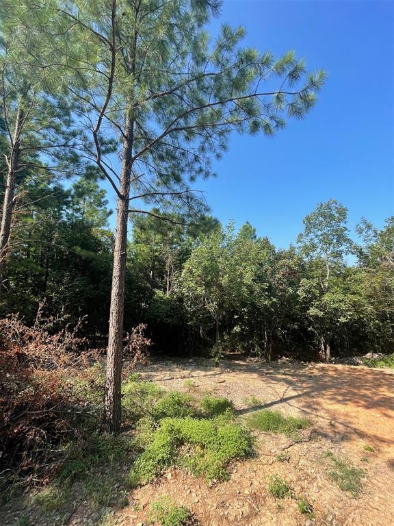 850 Lukfata Fork Trail