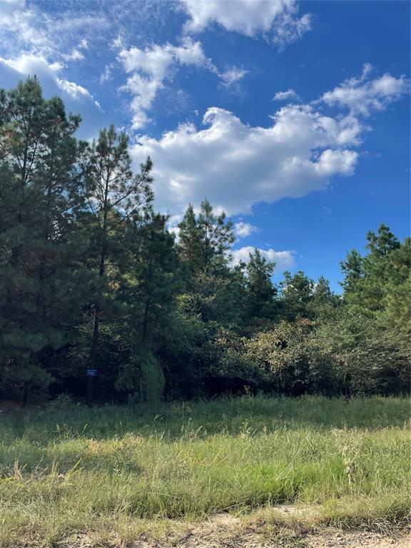 561 Camp Ranch Road