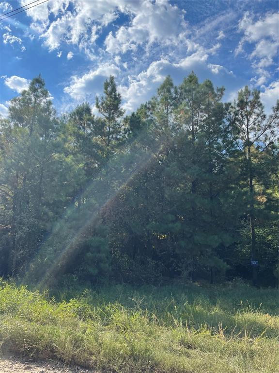 561 Camp Ranch Road