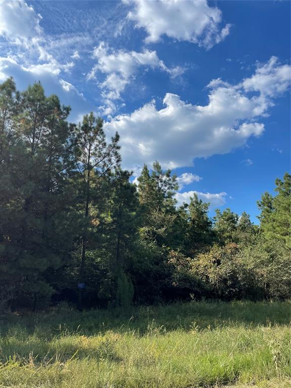 561 Camp Ranch Road