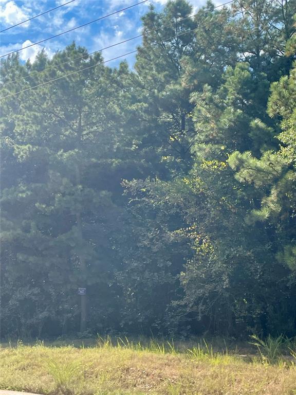 605 Camp Ranch Road