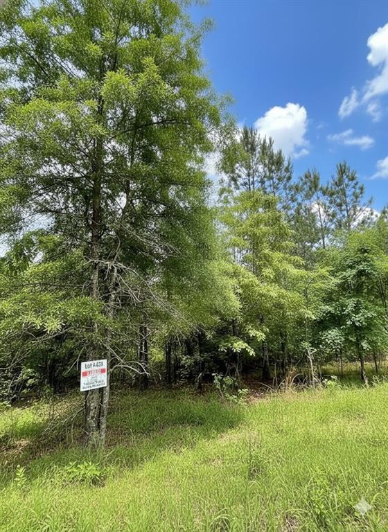 659 Timber Creek Trails South XI