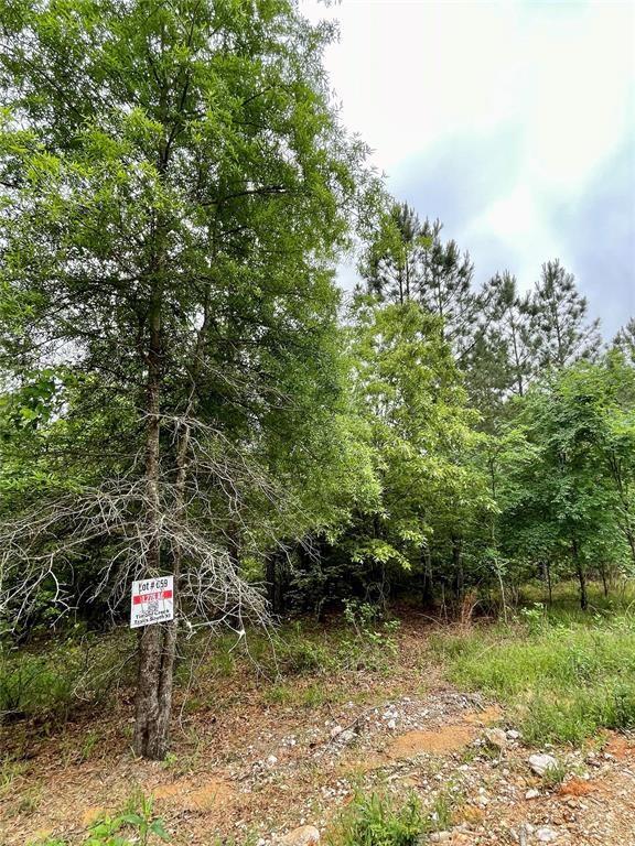 659 Timber Creek Trails South XI