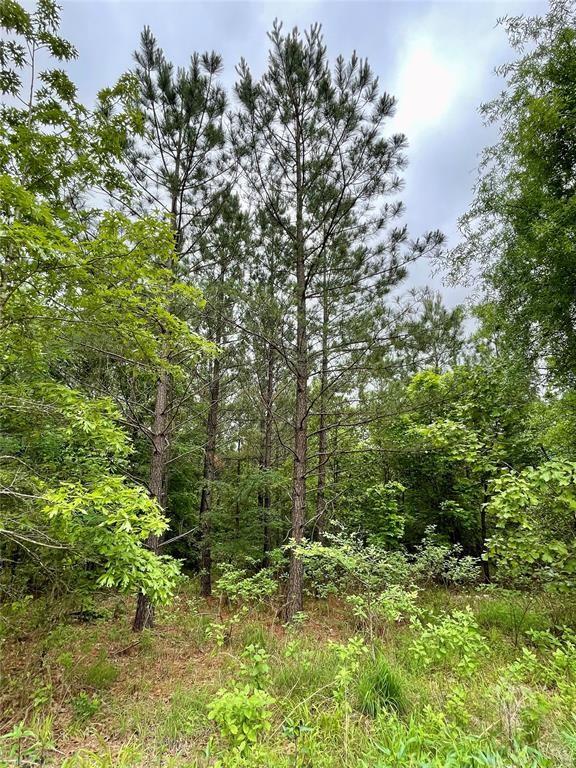 659 Timber Creek Trails South XI