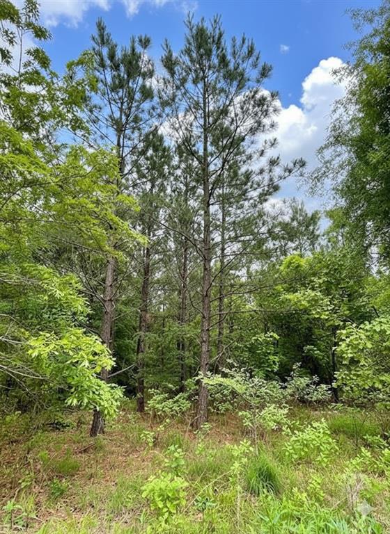 659 Timber Creek Trails South XI