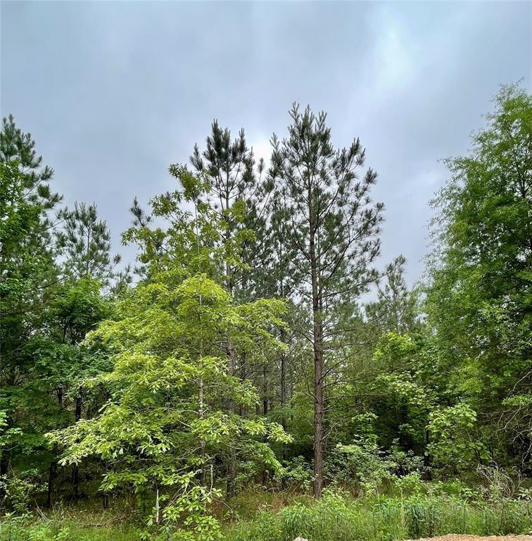 659 Timber Creek Trails South XI
