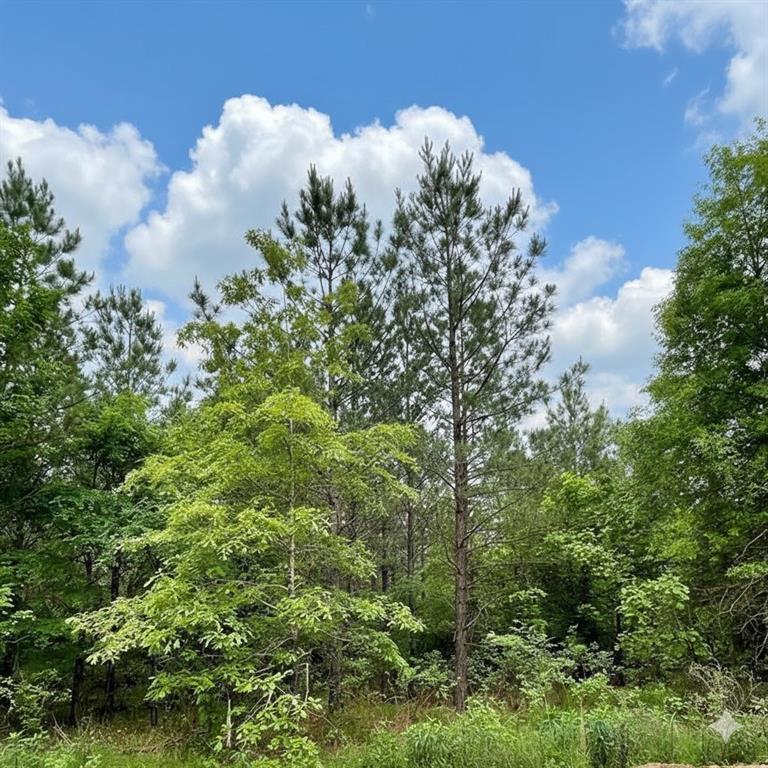 659 Timber Creek Trails South XI