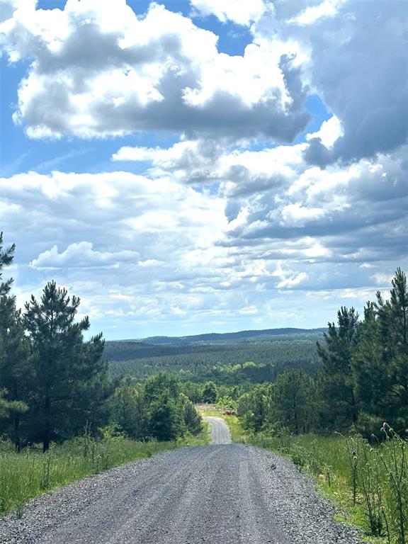 579 Lukfata Fork Trail