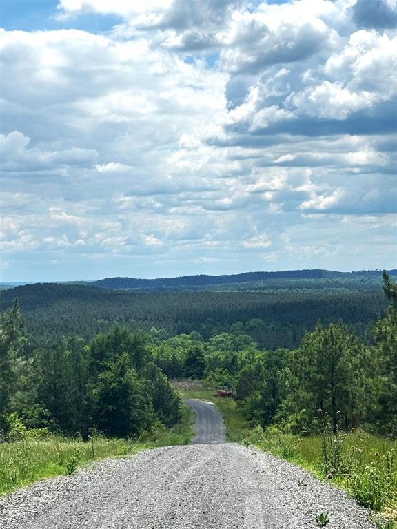 579 Lukfata Fork Trail