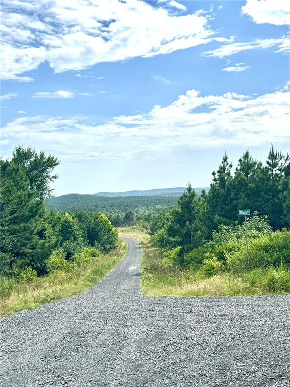 579 Lukfata Fork Trail