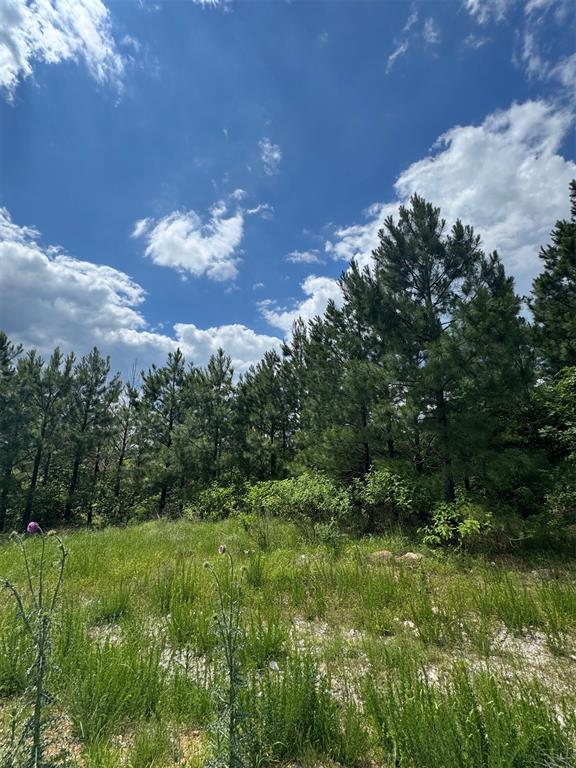 579 Lukfata Fork Trail