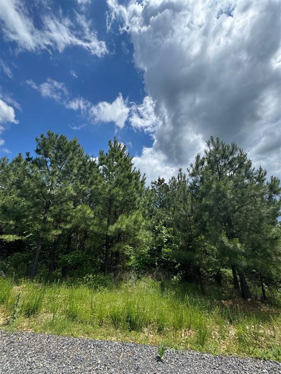 579 Lukfata Fork Trail