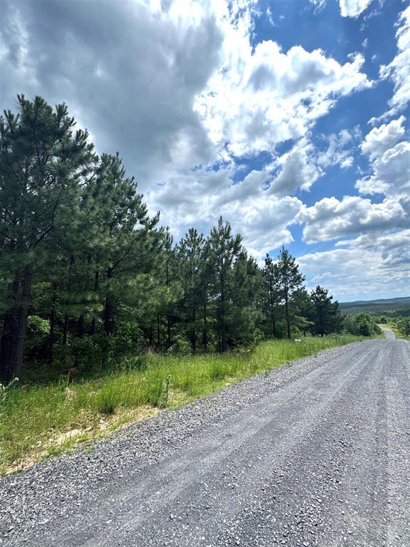 579 Lukfata Fork Trail