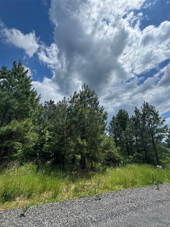 579 Lukfata Fork Trail