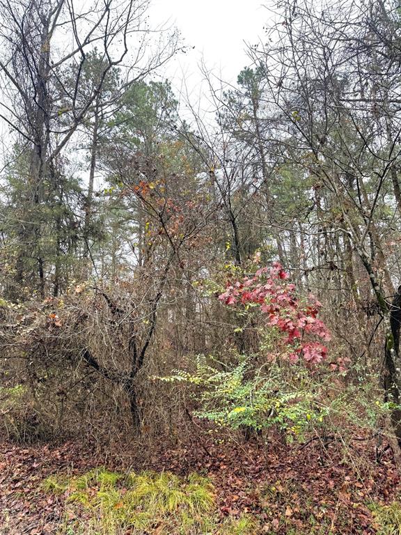 238 Timber Creek Trail