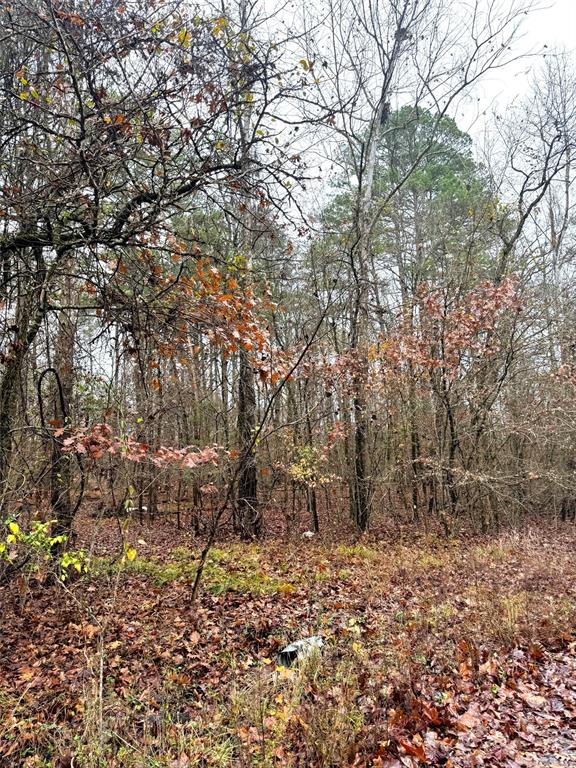 238 Timber Creek Trail