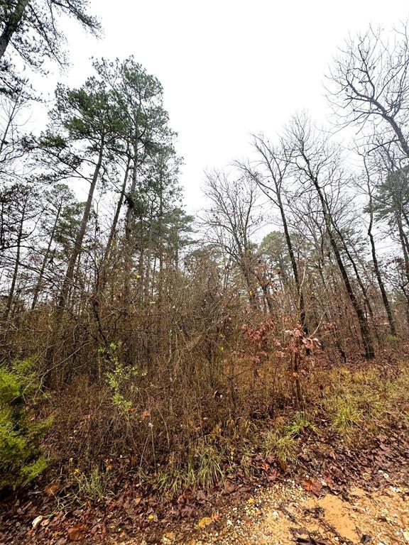 238 Timber Creek Trail