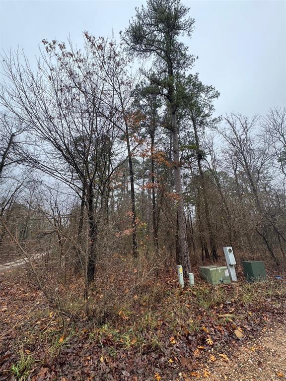 238 Timber Creek Trail