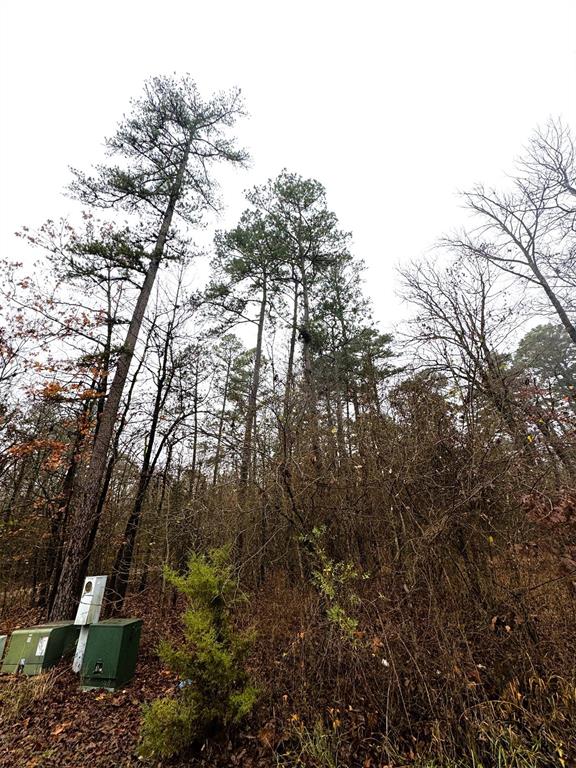 238 Timber Creek Trail
