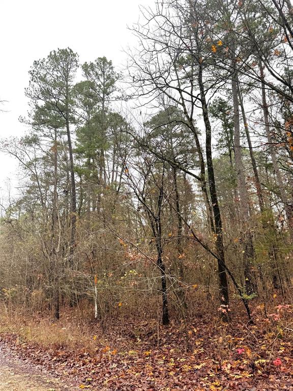 238 Timber Creek Trail