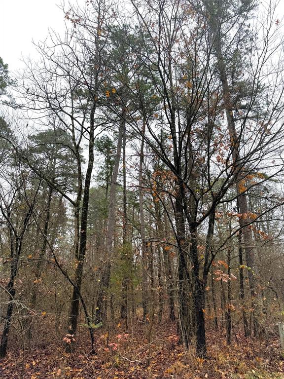 238 Timber Creek Trail
