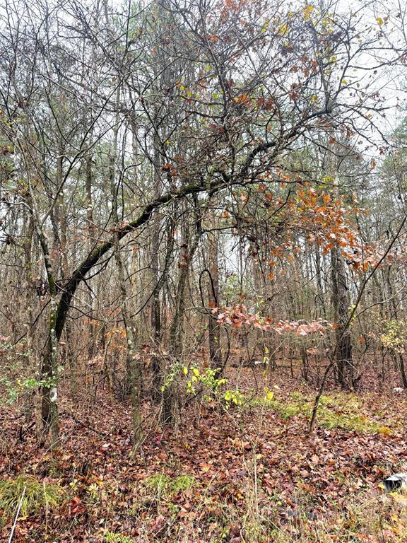 238 Timber Creek Trail