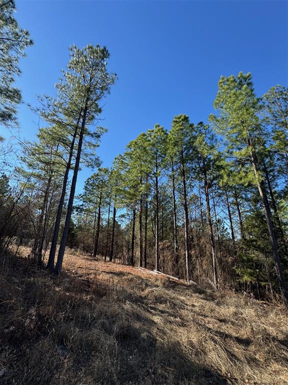 85 Timber Holler Trail