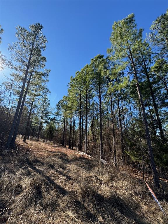 85 Timber Holler Trail