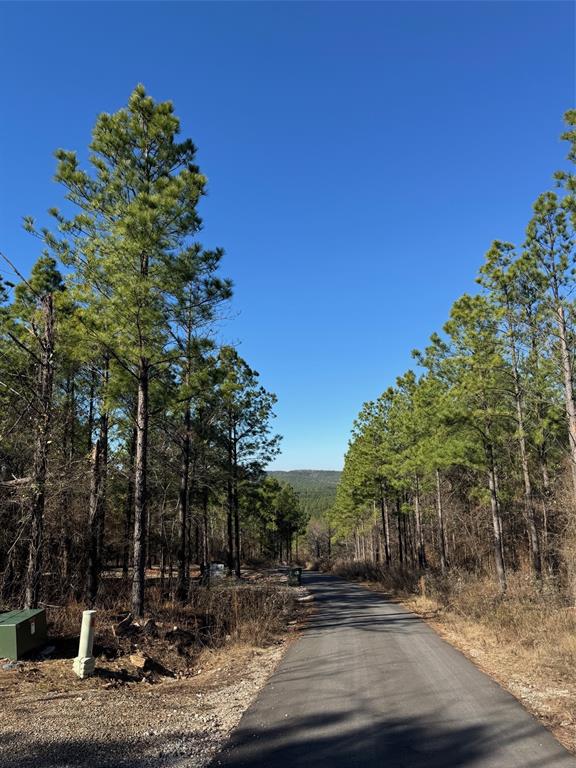 85 Timber Holler Trail