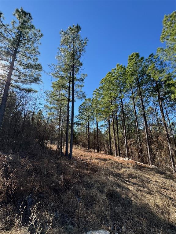 85 Timber Holler Trail