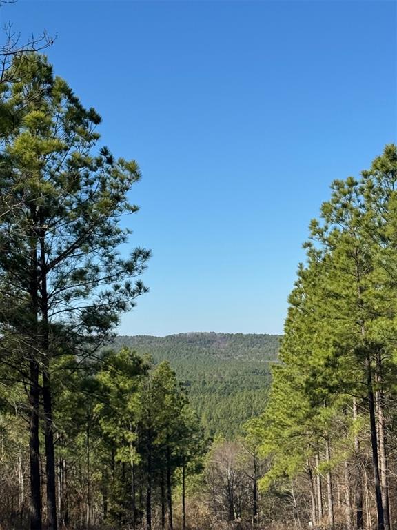 85 Timber Holler Trail