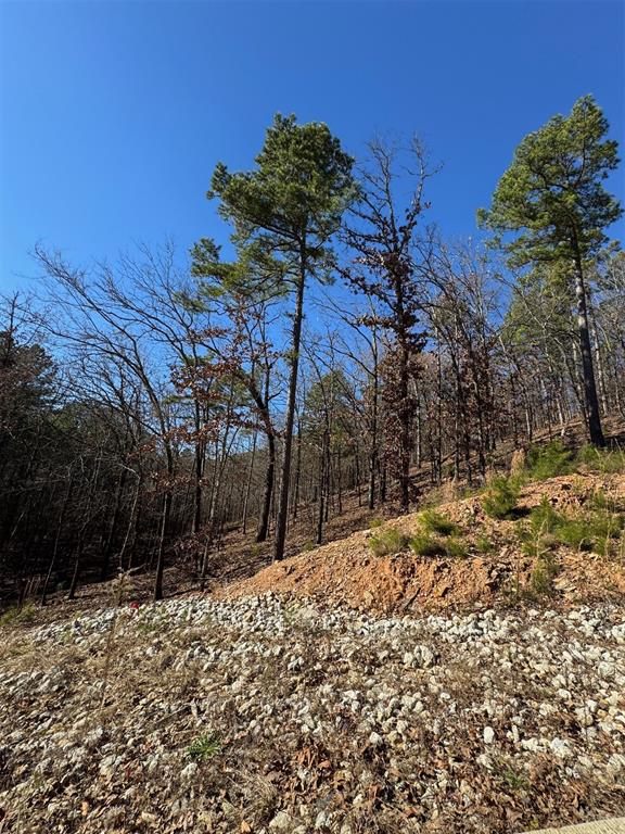 253 Western Pine Trail